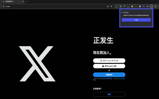 X Token Login screenshot 1