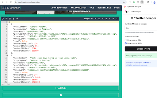 X / Twitter Scraper screenshot 1