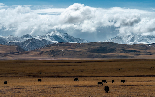 Yak Valley Serenity screenshot 1