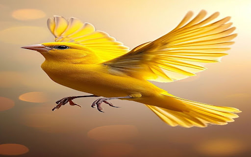 yellow canary wallpaper screenshot 1