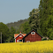 Yellow Field in Jonkoping County logo