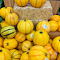 Yellow pumpkin agricultural products logo