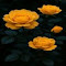 yellow rose wallpaper logo