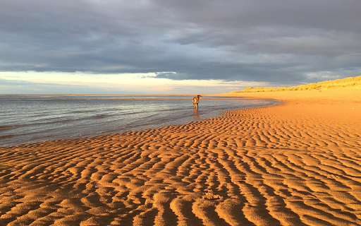 Yellow sand, blue sea screenshot 1