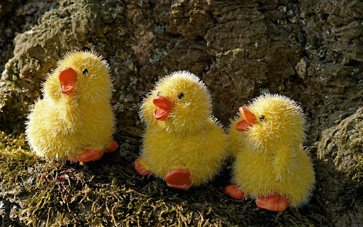 Yellow stuffed duck screenshot 1