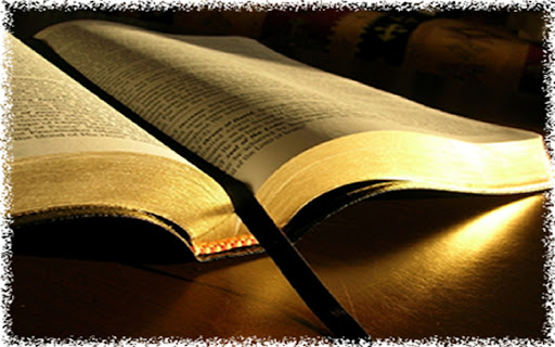 Your Daily Proverb From the Bible screenshot 1