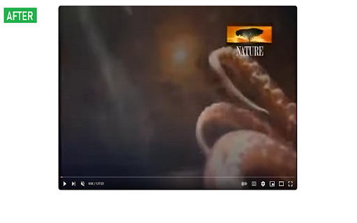 YouTube Cleanup screenshot 1