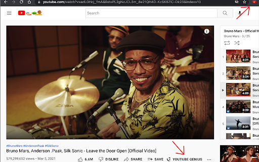 YouTube Genius screenshot 1
