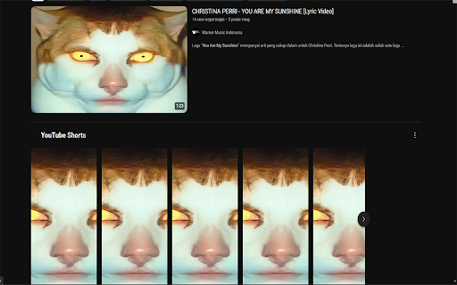 YouTube Monday Catify screenshot 1