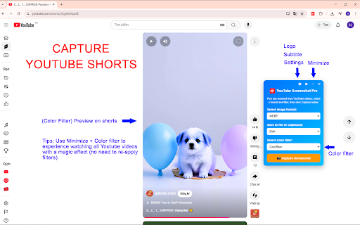 YouTube Screenshot Pro screenshot 1