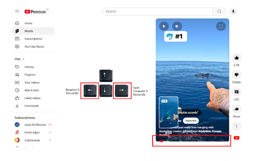 YouTube Shorts Video Controller screenshot 1