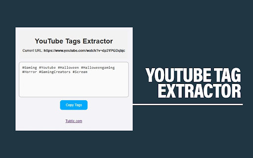 YouTube Tag Extractor - Tubtic screenshot 1