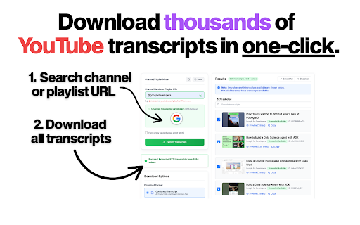 YouTube Transcripts - AI Chat & Summary | Bulk Download | Export | Search screenshot 1