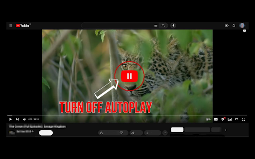 YouTube turn off autoplay screenshot 1