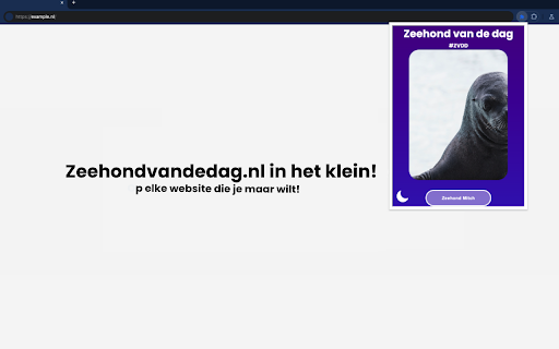 ZeehondVanDeDag screenshot 1