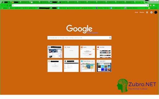 Zubro.NET_ChromeTheme1 screenshot 1